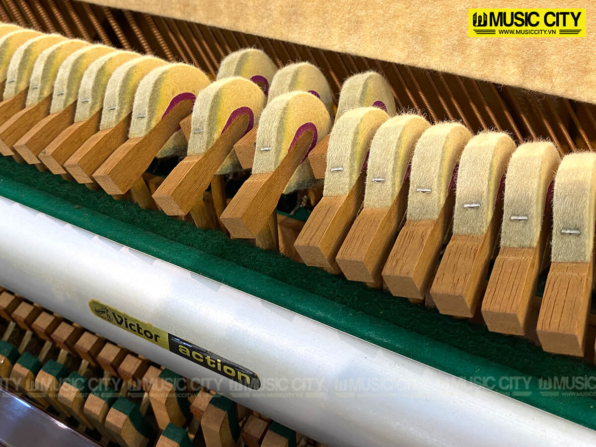 Music City – Tổng Kho Piano, Guitar, Organ | Dịch Vụ Giáo Dục Âm Nhạc