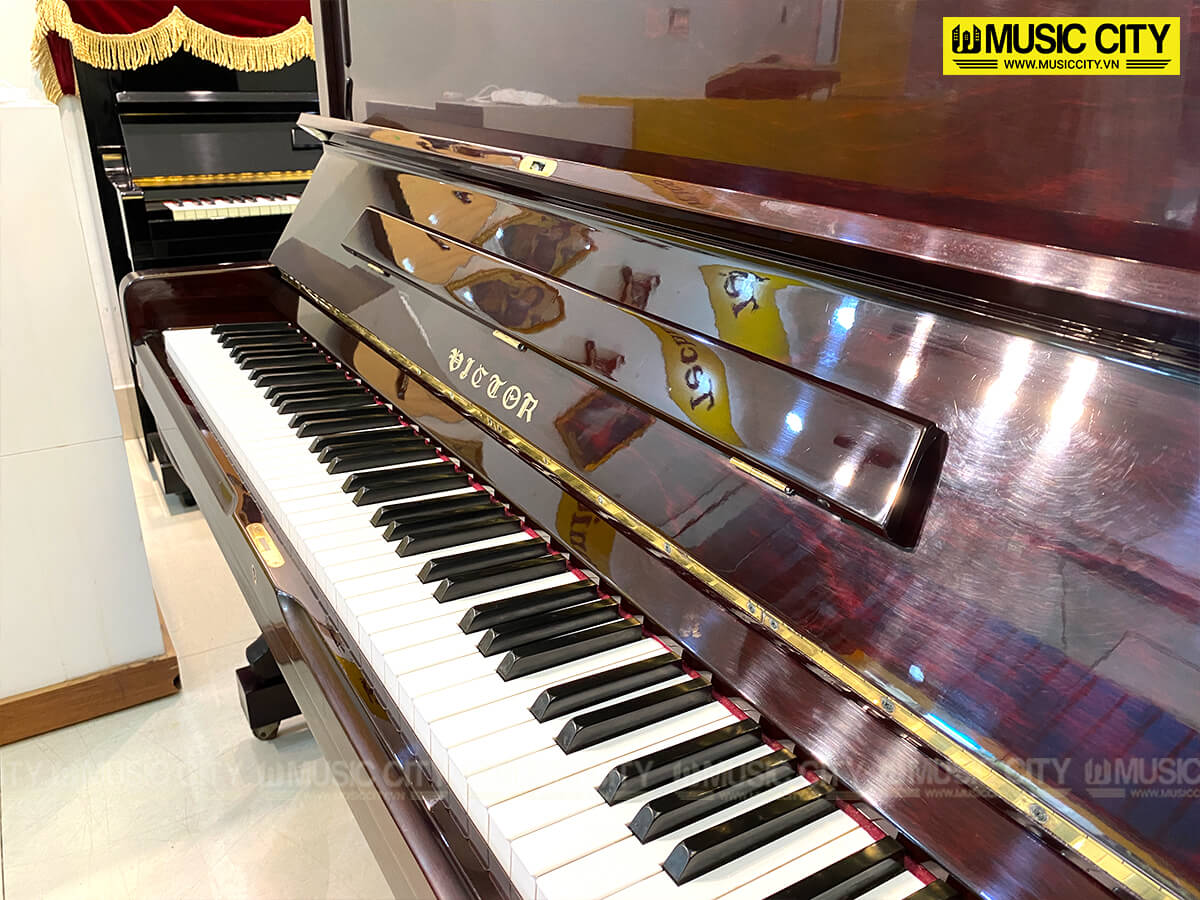 Music City – Tổng Kho Piano, Guitar, Organ | Dịch Vụ Giáo Dục Âm Nhạc