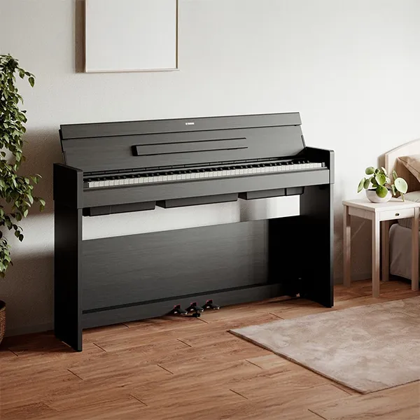Music City – Tổng Kho Piano, Guitar, Organ | Dịch Vụ Giáo Dục Âm Nhạc
