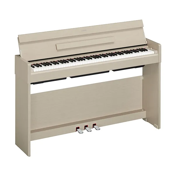 Music City – Tổng Kho Piano, Guitar, Organ | Dịch Vụ Giáo Dục Âm Nhạc