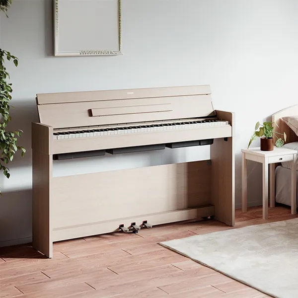Music City – Tổng Kho Piano, Guitar, Organ | Dịch Vụ Giáo Dục Âm Nhạc