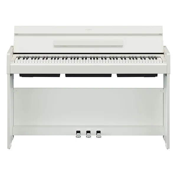 Music City – Tổng Kho Piano, Guitar, Organ | Dịch Vụ Giáo Dục Âm Nhạc