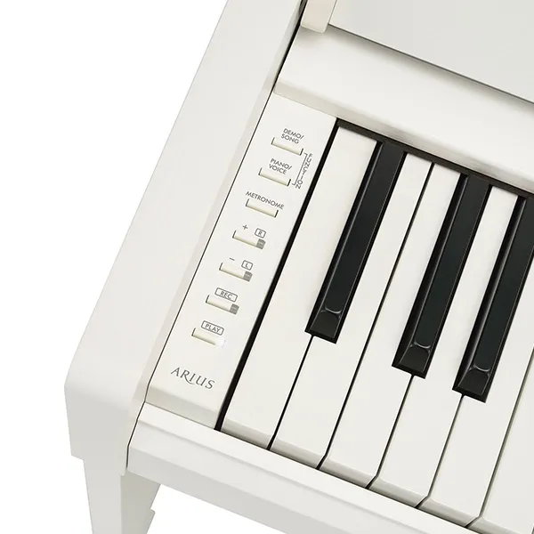 Music City – Tổng Kho Piano, Guitar, Organ | Dịch Vụ Giáo Dục Âm Nhạc