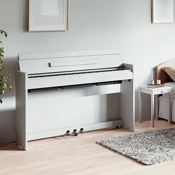 Music City – Tổng Kho Piano, Guitar, Organ | Dịch Vụ Giáo Dục Âm Nhạc