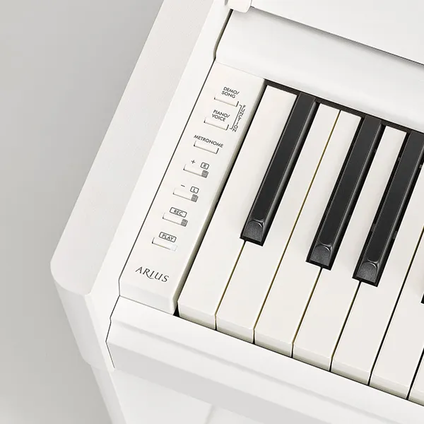 dan-piano-yamaha-ydp-s55-musiccity