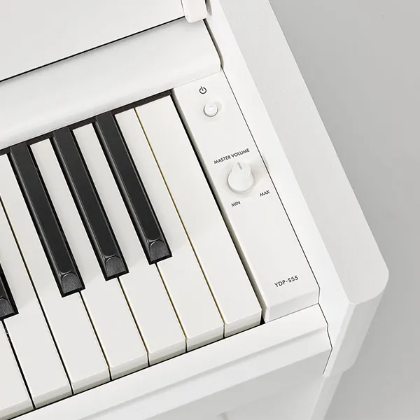Music City – Tổng Kho Piano, Guitar, Organ | Dịch Vụ Giáo Dục Âm Nhạc