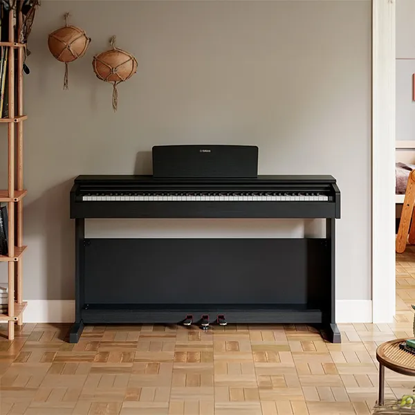 Music City – Tổng Kho Piano, Guitar, Organ | Dịch Vụ Giáo Dục Âm Nhạc