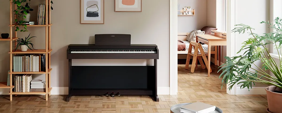Music City – Tổng Kho Piano, Guitar, Organ | Dịch Vụ Giáo Dục Âm Nhạc