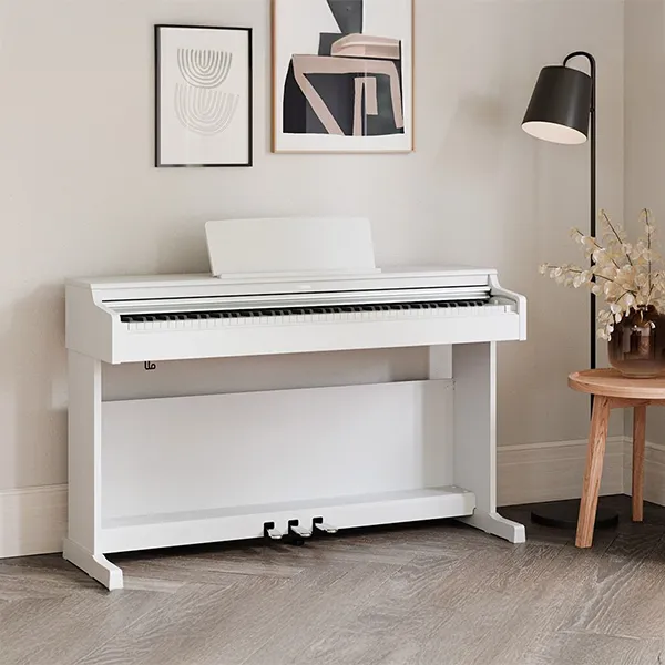 Music City – Tổng Kho Piano, Guitar, Organ | Dịch Vụ Giáo Dục Âm Nhạc
