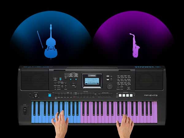 Music City – Tổng Kho Piano, Guitar, Organ | Dịch Vụ Giáo Dục Âm Nhạc
