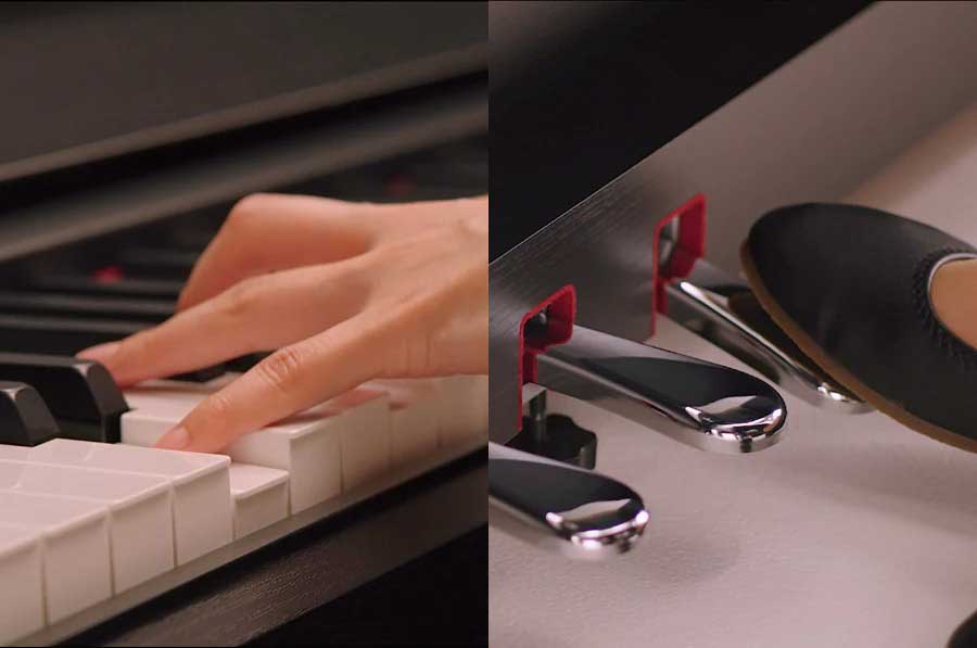 Music City – Tổng Kho Piano, Guitar, Organ | Dịch Vụ Giáo Dục Âm Nhạc