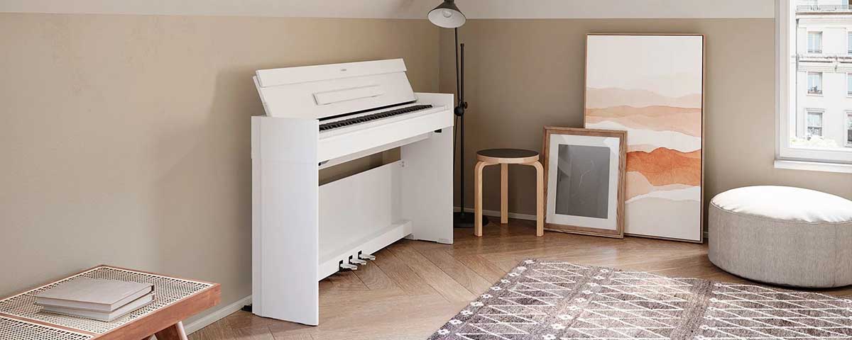 Music City – Tổng Kho Piano, Guitar, Organ | Dịch Vụ Giáo Dục Âm Nhạc
