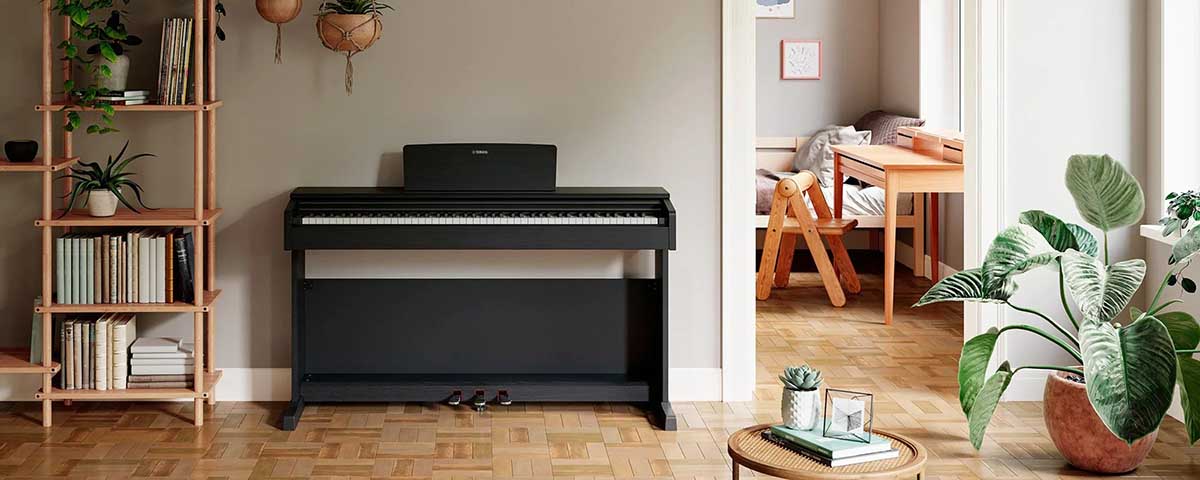 Music City – Tổng Kho Piano, Guitar, Organ | Dịch Vụ Giáo Dục Âm Nhạc