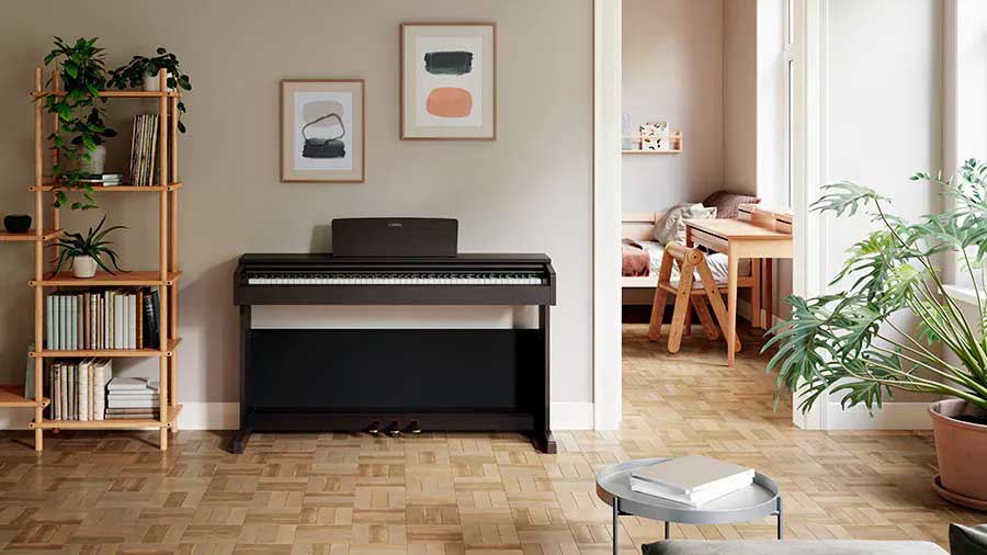 Music City – Tổng Kho Piano, Guitar, Organ | Dịch Vụ Giáo Dục Âm Nhạc