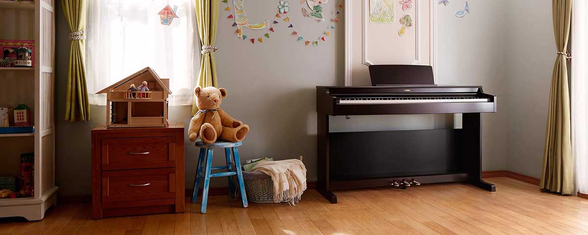 Music City – Tổng Kho Piano, Guitar, Organ | Dịch Vụ Giáo Dục Âm Nhạc