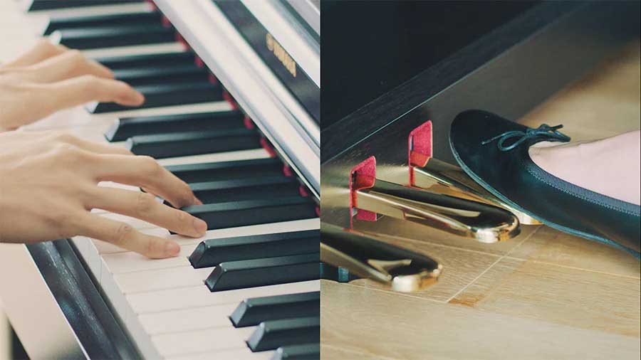 Music City – Tổng Kho Piano, Guitar, Organ | Dịch Vụ Giáo Dục Âm Nhạc