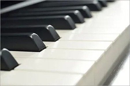 Music City – Tổng Kho Piano, Guitar, Organ | Dịch Vụ Giáo Dục Âm Nhạc