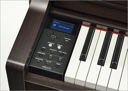 Music City – Tổng Kho Piano, Guitar, Organ | Dịch Vụ Giáo Dục Âm Nhạc