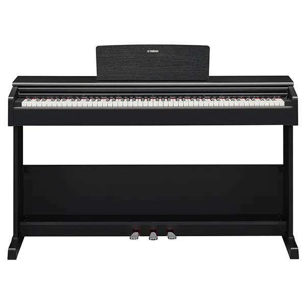 Music City – Tổng Kho Piano, Guitar, Organ | Dịch Vụ Giáo Dục Âm Nhạc