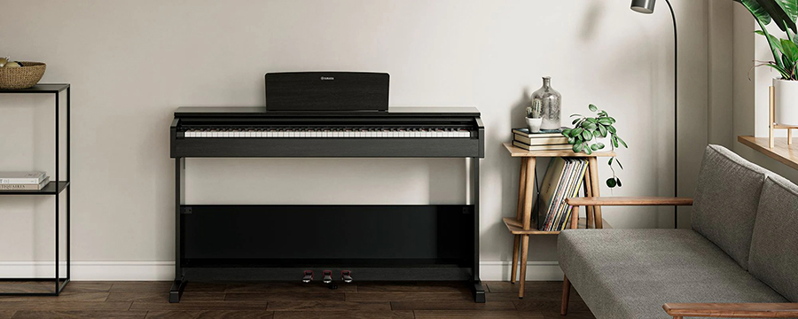 Music City – Tổng Kho Piano, Guitar, Organ | Dịch Vụ Giáo Dục Âm Nhạc