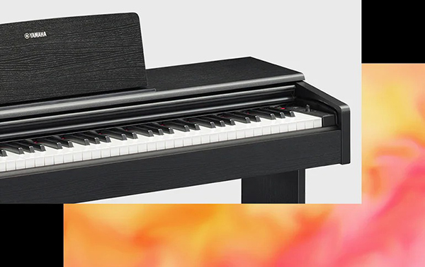 Music City – Tổng Kho Piano, Guitar, Organ | Dịch Vụ Giáo Dục Âm Nhạc