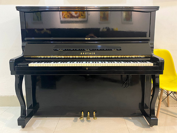Music City – Tổng Kho Piano, Guitar, Organ | Dịch Vụ Giáo Dục Âm Nhạc