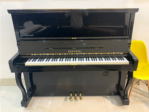 Music City – Tổng Kho Piano, Guitar, Organ | Dịch Vụ Giáo Dục Âm Nhạc