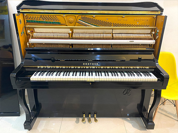 Music City – Tổng Kho Piano, Guitar, Organ | Dịch Vụ Giáo Dục Âm Nhạc