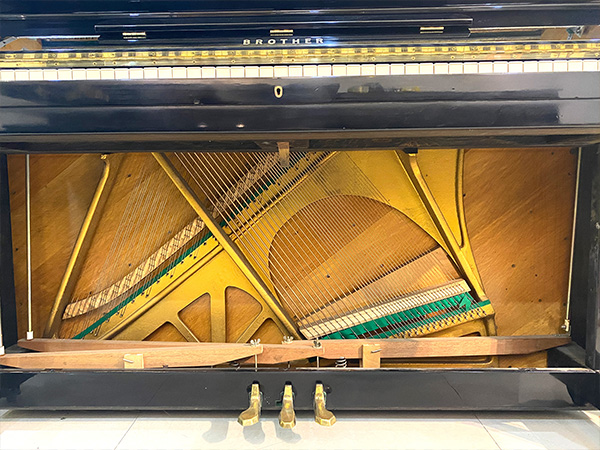 Music City – Tổng Kho Piano, Guitar, Organ | Dịch Vụ Giáo Dục Âm Nhạc