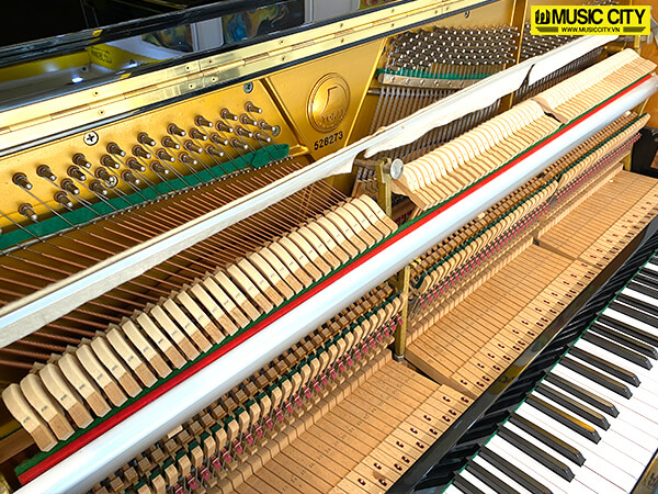 Music City – Tổng Kho Piano, Guitar, Organ | Dịch Vụ Giáo Dục Âm Nhạc