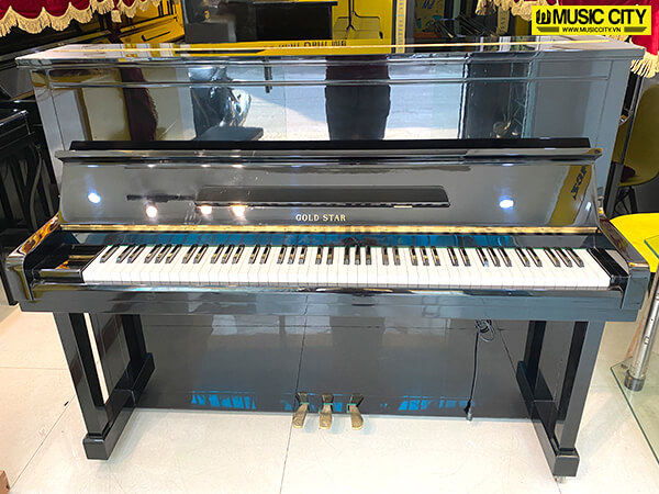 Music City – Tổng Kho Piano, Guitar, Organ | Dịch Vụ Giáo Dục Âm Nhạc