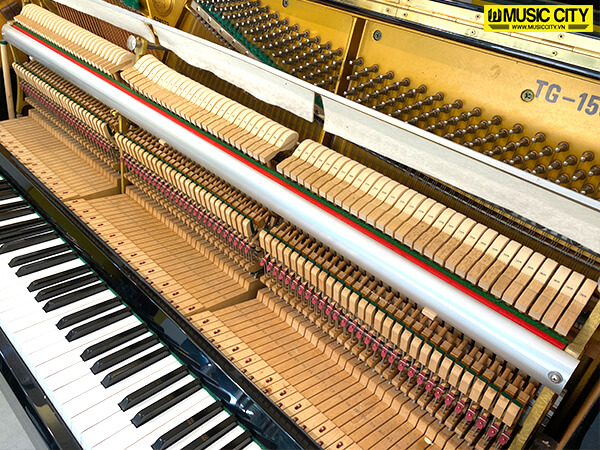Đàn Piano Gold Star TG-150E - Ảnh 10