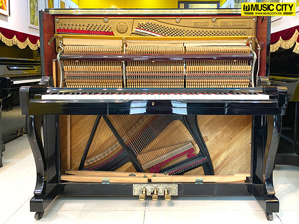 Music City – Tổng Kho Piano, Guitar, Organ | Dịch Vụ Giáo Dục Âm Nhạc