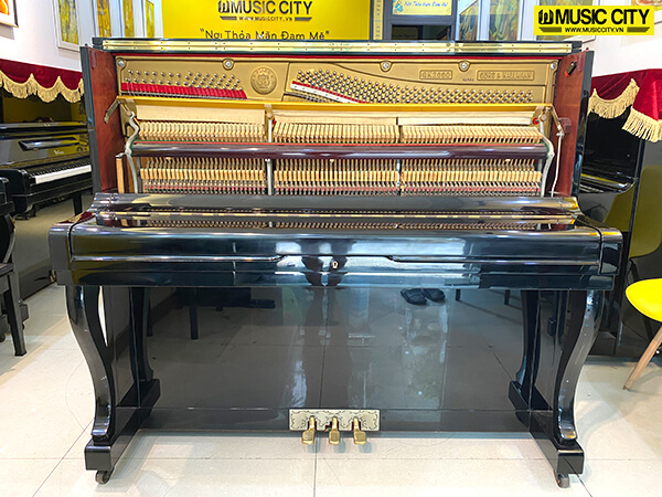 Music City – Tổng Kho Piano, Guitar, Organ | Dịch Vụ Giáo Dục Âm Nhạc