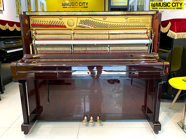 Music City – Tổng Kho Piano, Guitar, Organ | Dịch Vụ Giáo Dục Âm Nhạc