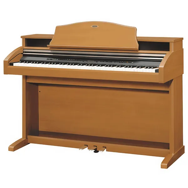 Music City – Tổng Kho Piano, Guitar, Organ | Dịch Vụ Giáo Dục Âm Nhạc