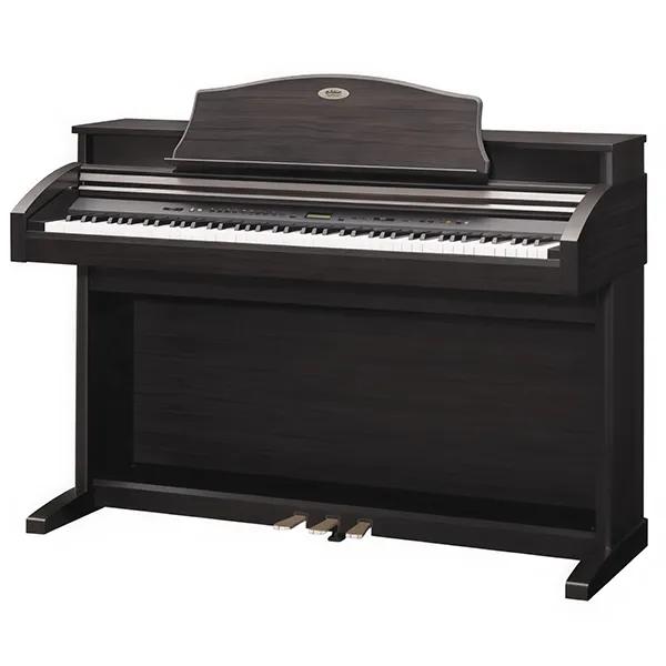 Music City – Tổng Kho Piano, Guitar, Organ | Dịch Vụ Giáo Dục Âm Nhạc