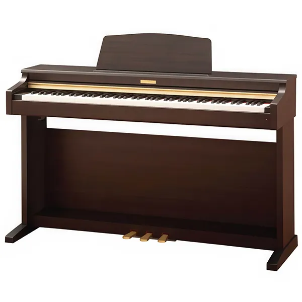 Music City – Tổng Kho Piano, Guitar, Organ | Dịch Vụ Giáo Dục Âm Nhạc
