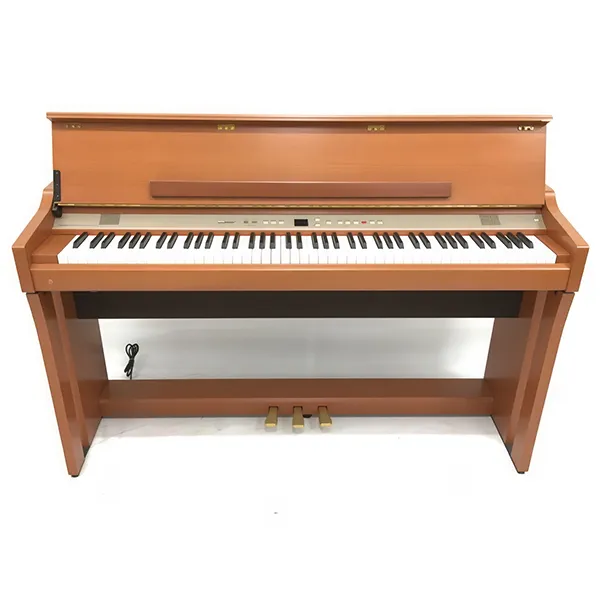 Music City – Tổng Kho Piano, Guitar, Organ | Dịch Vụ Giáo Dục Âm Nhạc