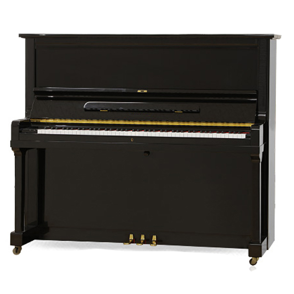 Đàn Piano Steinrich S10