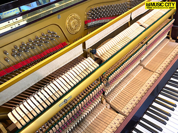 Music City – Tổng Kho Piano, Guitar, Organ | Dịch Vụ Giáo Dục Âm Nhạc