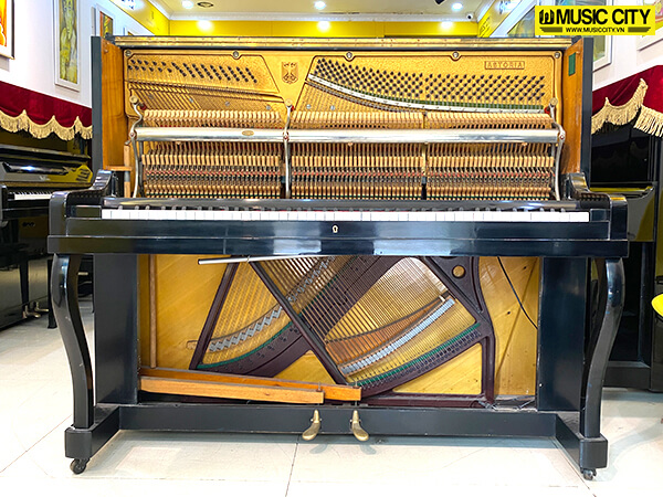Music City – Tổng Kho Piano, Guitar, Organ | Dịch Vụ Giáo Dục Âm Nhạc