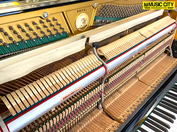 Đàn Piano Steinrich S10 - Ảnh 11