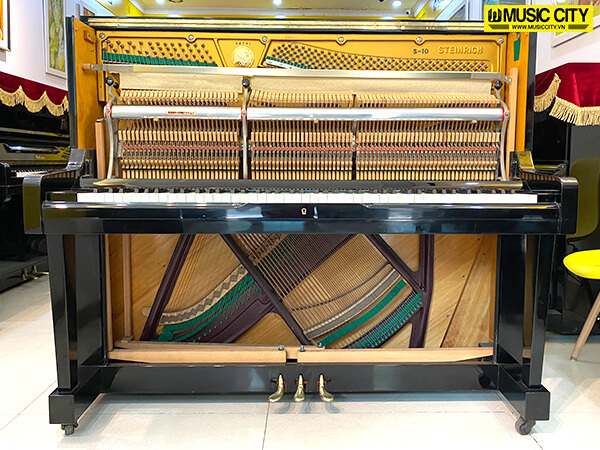 Music City – Tổng Kho Piano, Guitar, Organ | Dịch Vụ Giáo Dục Âm Nhạc