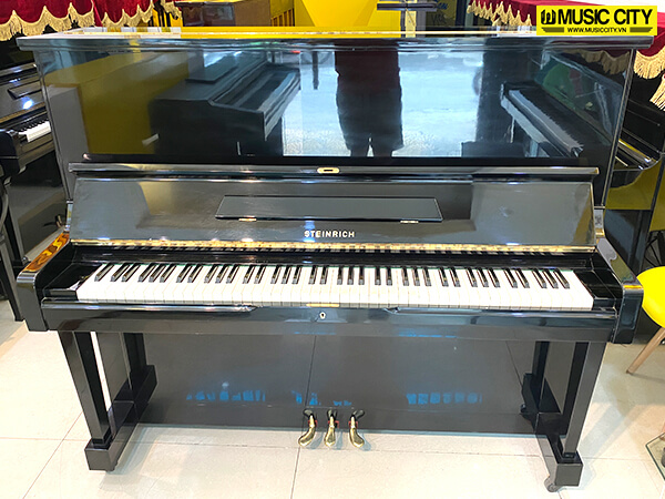 Đàn Piano Steinrich S10 - Ảnh 3