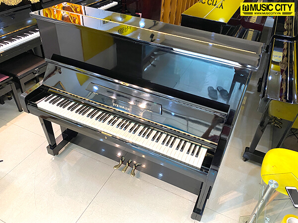 Đàn Piano Steinrich S10 - Ảnh 4