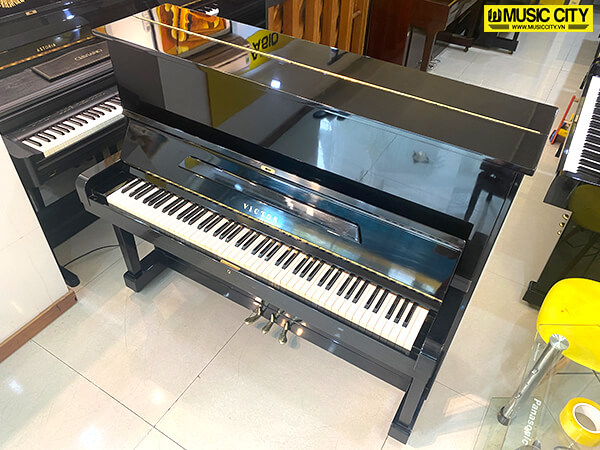 Music City – Tổng Kho Piano, Guitar, Organ | Dịch Vụ Giáo Dục Âm Nhạc
