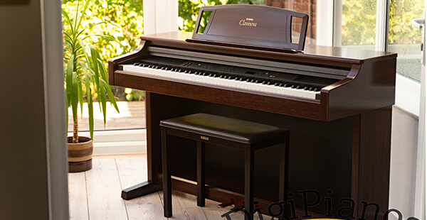 Music City – Tổng Kho Piano, Guitar, Organ | Dịch Vụ Giáo Dục Âm Nhạc