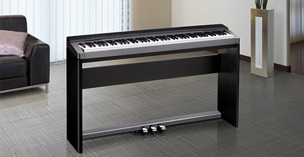 Music City – Tổng Kho Piano, Guitar, Organ | Dịch Vụ Giáo Dục Âm Nhạc