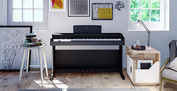 Music City – Tổng Kho Piano, Guitar, Organ | Dịch Vụ Giáo Dục Âm Nhạc